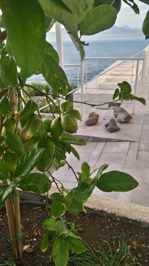 Epipleon Suites Agioi Apostoloi  Ngoại thất bức ảnh